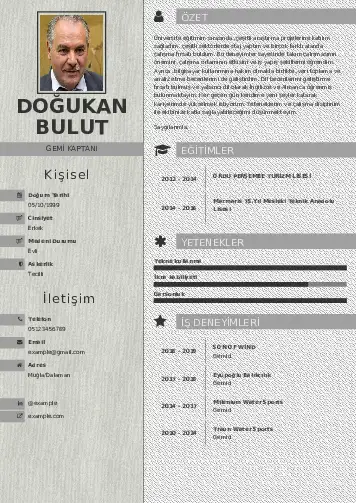 Gemi Kaptanı CV Örnekleri cv indir